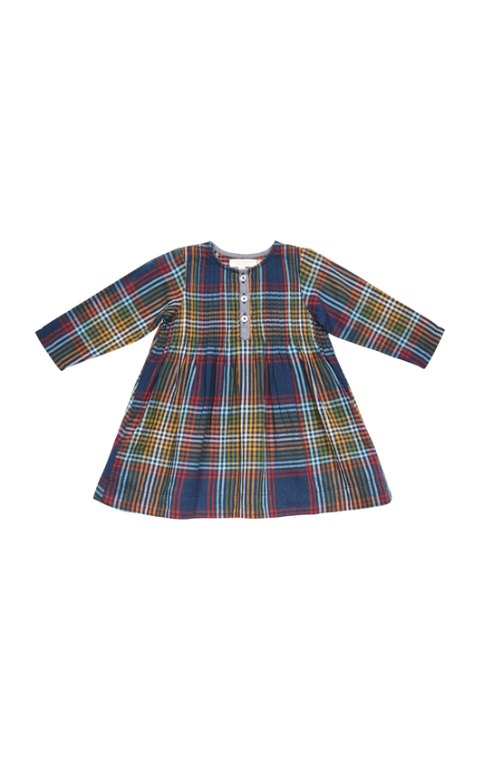 Pink Chicken Madeline Dress